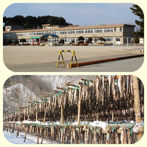 9131f9914f236e97f6db1ede57705cda_1581237345_2697.jpg 9131f9914f236e97f6db1ede57705cda_1581237345_2697.jpg