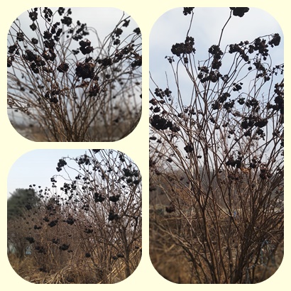 aa3518530affcb5248b76c2273e465bc_1581645847_1492.jpg aa3518530affcb5248b76c2273e465bc_1581645847_1492.jpg