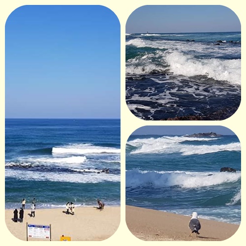 deb62f12a418bf1a28e719a4393c5313_1581403289_1235.jpg deb62f12a418bf1a28e719a4393c5313_1581403289_1235.jpg