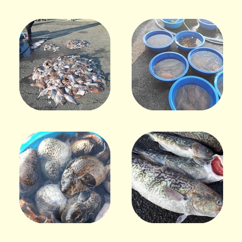 deb62f12a418bf1a28e719a4393c5313_1581403296_1625.jpg deb62f12a418bf1a28e719a4393c5313_1581403296_1625.jpg