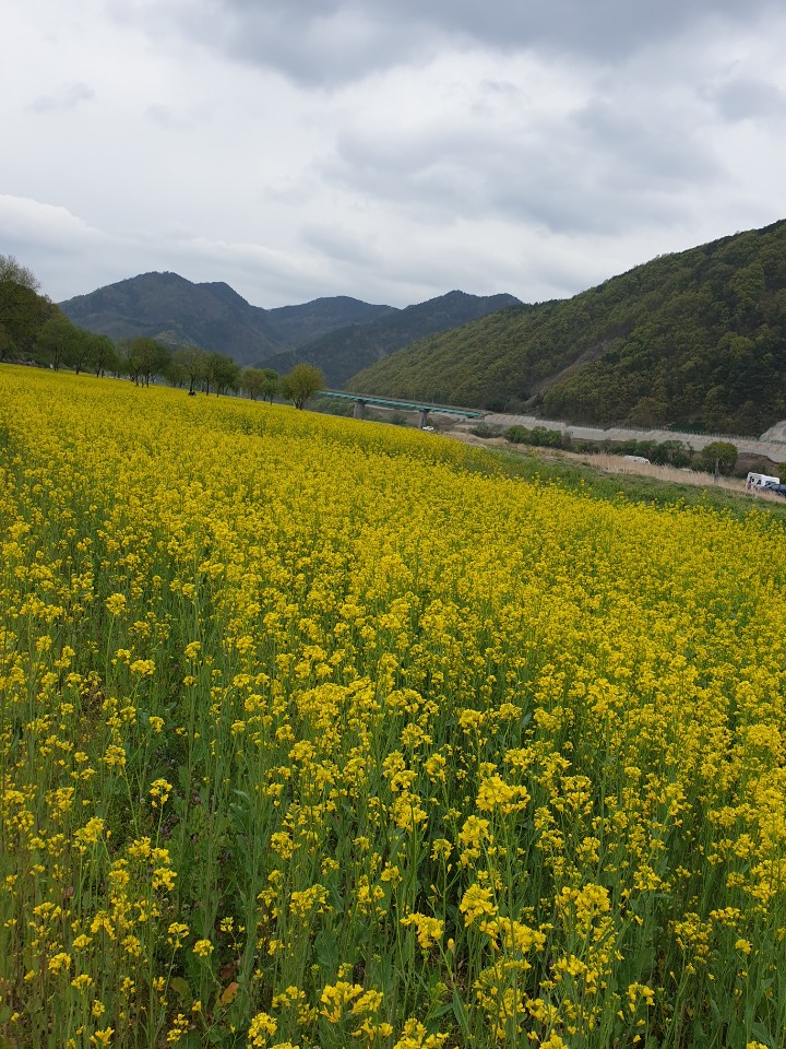 52ae70033acc19f6d0ef4674eec9bb0f_1587357909_2434.jpg 52ae70033acc19f6d0ef4674eec9bb0f_1587357909_2434.jpg