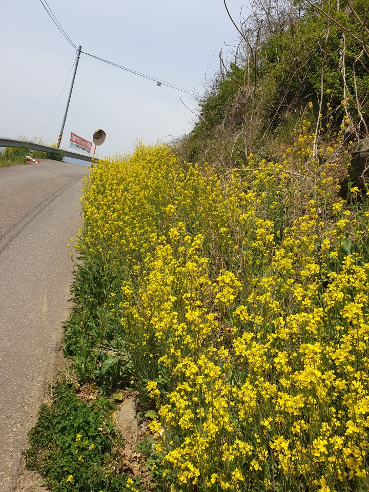 52ae70033acc19f6d0ef4674eec9bb0f_1587358048_0863.jpg 52ae70033acc19f6d0ef4674eec9bb0f_1587358048_0863.jpg