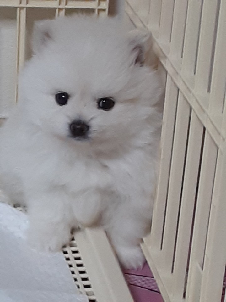 2902becdd4d886c9c83b1d4ab3c95f9c_1590411664_2581.jpg 2902becdd4d886c9c83b1d4ab3c95f9c_1590411664_2581.jpg