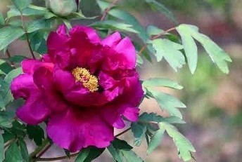 8b7ab2d83f2f332d765ae37e4edfd411_1589625215_0523.jpg 8b7ab2d83f2f332d765ae37e4edfd411_1589625215_0523.jpg