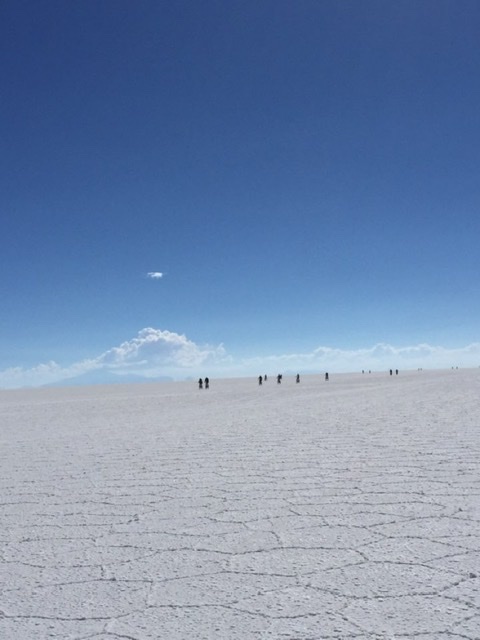 2fcaa7c2c6b93bdc4a6b1fd79095cc68_1592634433_4506.jpeg 2fcaa7c2c6b93bdc4a6b1fd79095cc68_1592634433_4506.jpeg