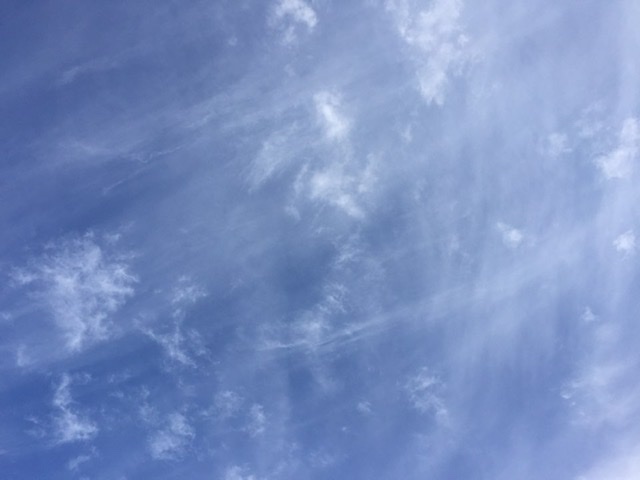 2fcaa7c2c6b93bdc4a6b1fd79095cc68_1592634512_8231.jpeg 2fcaa7c2c6b93bdc4a6b1fd79095cc68_1592634512_8231.jpeg