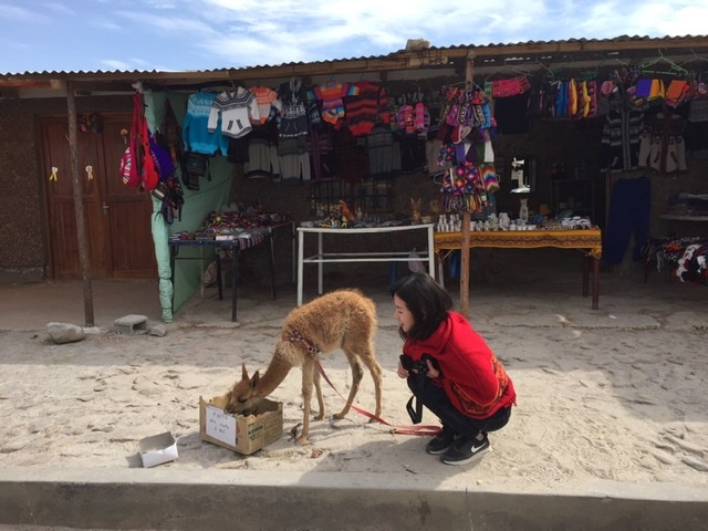 2fcaa7c2c6b93bdc4a6b1fd79095cc68_1592634513_7941.jpeg 2fcaa7c2c6b93bdc4a6b1fd79095cc68_1592634513_7941.jpeg