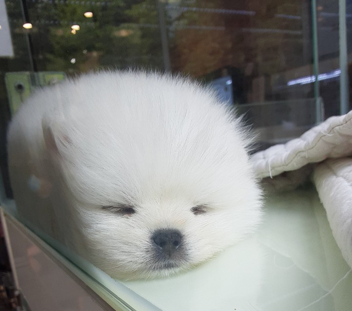 572ae1a39692a32a2b8499867ace1d50_1591884234_25.jpg 572ae1a39692a32a2b8499867ace1d50_1591884234_25.jpg