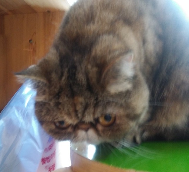 a2c8fe6cd3e2d042f8b0d1c9636228e2_1591416409_0958.jpg a2c8fe6cd3e2d042f8b0d1c9636228e2_1591416409_0958.jpg