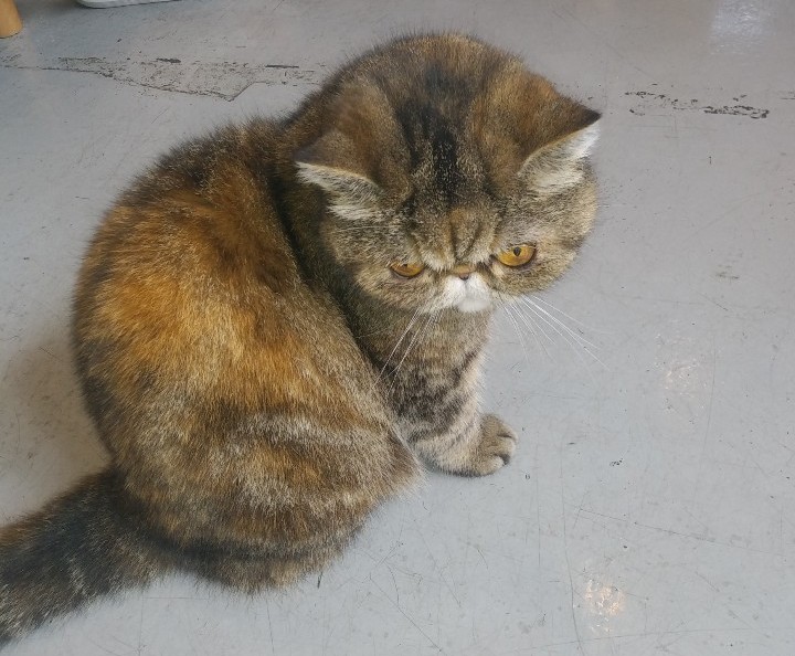 a2c8fe6cd3e2d042f8b0d1c9636228e2_1591416412_0406.jpg a2c8fe6cd3e2d042f8b0d1c9636228e2_1591416412_0406.jpg