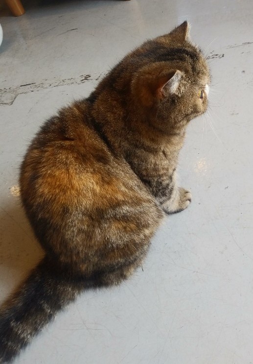 a2c8fe6cd3e2d042f8b0d1c9636228e2_1591416414_326.jpg a2c8fe6cd3e2d042f8b0d1c9636228e2_1591416414_326.jpg