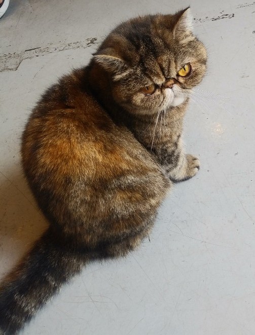 a2c8fe6cd3e2d042f8b0d1c9636228e2_1591416416_4507.jpg a2c8fe6cd3e2d042f8b0d1c9636228e2_1591416416_4507.jpg