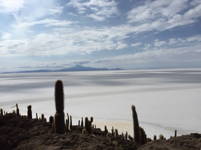 b26139a1242705ba8845836efbaa8cb7_1592636800_5207.jpeg b26139a1242705ba8845836efbaa8cb7_1592636800_5207.jpeg