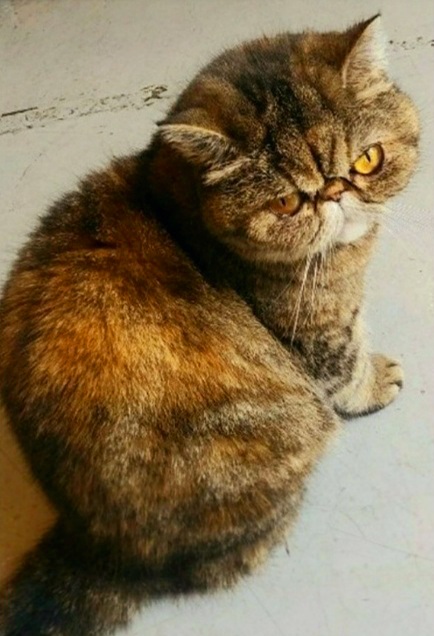 b92db26bb01e2b6507c2eb5aea422c0d_1591531775_5205.jpg b92db26bb01e2b6507c2eb5aea422c0d_1591531775_5205.jpg