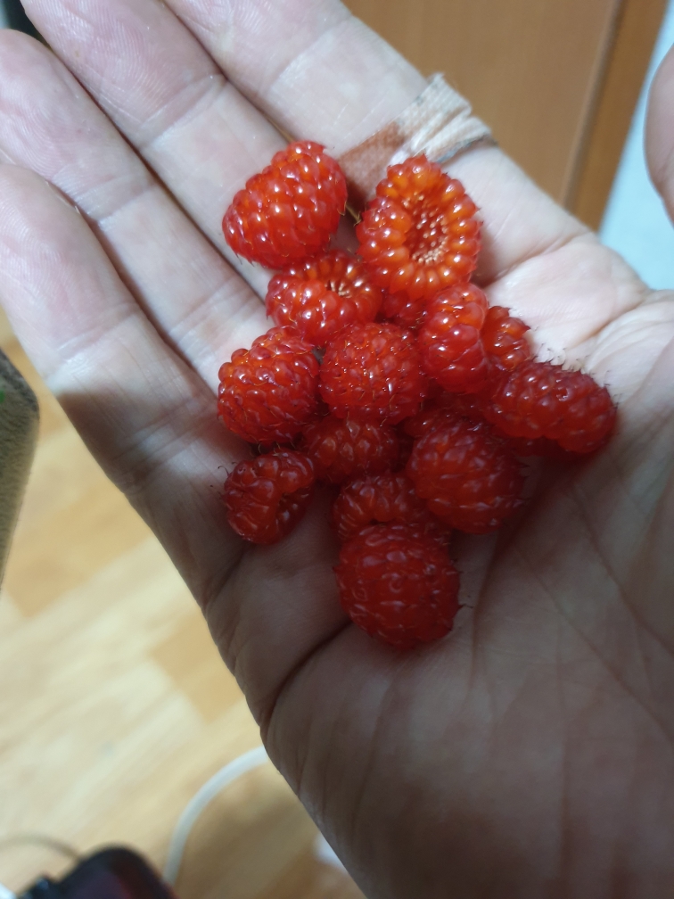 c3012f66d7a50435c7a00722bd2c0cde_1593040538_4301.jpeg c3012f66d7a50435c7a00722bd2c0cde_1593040538_4301.jpeg