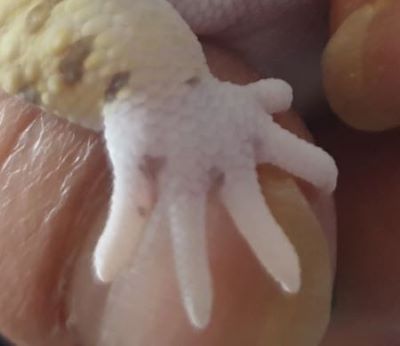 d76c74cfcf88e30bef664c6ad7bad1b6_1592367161_189.jpg d76c74cfcf88e30bef664c6ad7bad1b6_1592367161_189.jpg