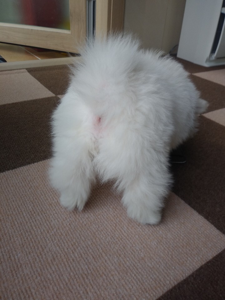 dd8e6b6f3acd7ab76ad60010d542aae5_1591368560_253.jpg dd8e6b6f3acd7ab76ad60010d542aae5_1591368560_253.jpg