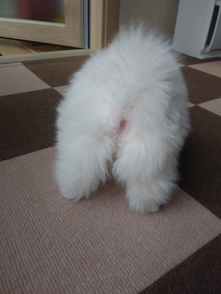 dd8e6b6f3acd7ab76ad60010d542aae5_1591368560_6172.jpg dd8e6b6f3acd7ab76ad60010d542aae5_1591368560_6172.jpg