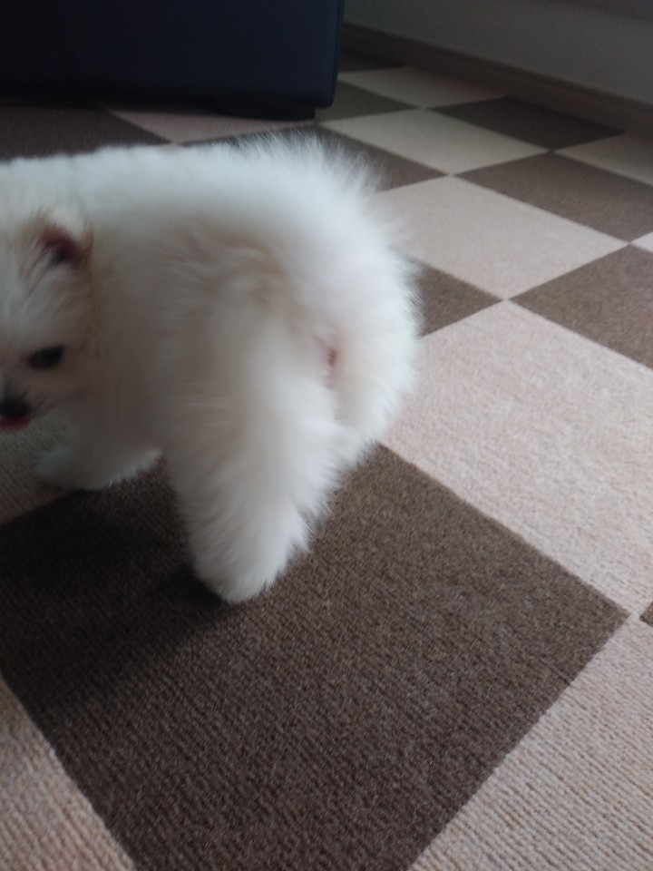 dd8e6b6f3acd7ab76ad60010d542aae5_1591368560_982.jpg dd8e6b6f3acd7ab76ad60010d542aae5_1591368560_982.jpg