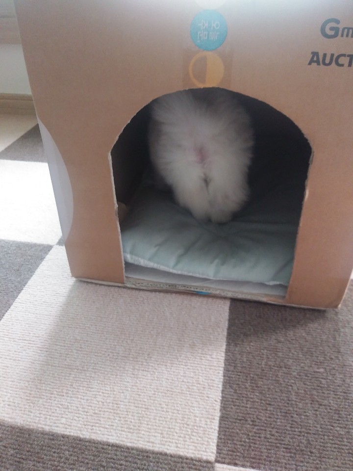 dd8e6b6f3acd7ab76ad60010d542aae5_1591368931_3664.jpg dd8e6b6f3acd7ab76ad60010d542aae5_1591368931_3664.jpg