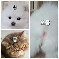 e53d073e37d741d29136d80917d1356b_1591968527_1863.jpg e53d073e37d741d29136d80917d1356b_1591968527_1863.jpg