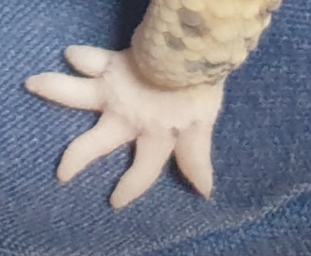 f8cfd94a278a5e40621d0b41ec18eaaf_1592366883_4708.jpg f8cfd94a278a5e40621d0b41ec18eaaf_1592366883_4708.jpg