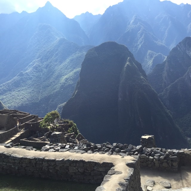 8e3a893818f20b29f172e39782c5fdce_1593748438_7889.jpeg 8e3a893818f20b29f172e39782c5fdce_1593748438_7889.jpeg