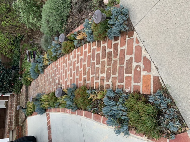 dbf9b63d71cfdb04ce11f825f2b1cfc7_1612161549_9957.jpeg dbf9b63d71cfdb04ce11f825f2b1cfc7_1612161549_9957.jpeg