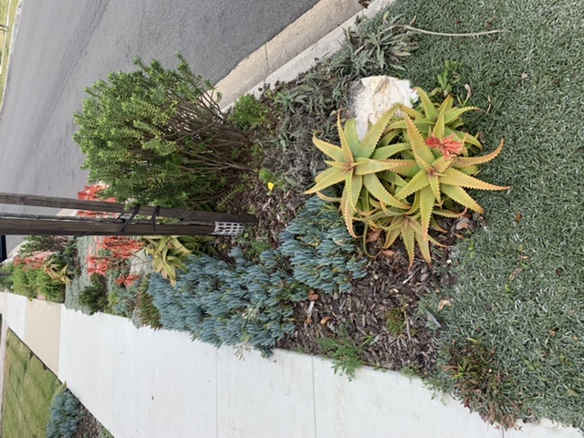 dbf9b63d71cfdb04ce11f825f2b1cfc7_1612161550_8632.jpeg dbf9b63d71cfdb04ce11f825f2b1cfc7_1612161550_8632.jpeg