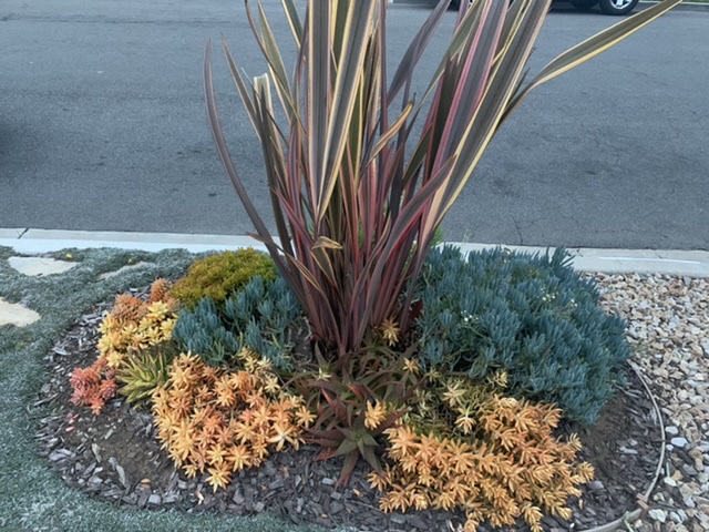 dbf9b63d71cfdb04ce11f825f2b1cfc7_1612161552_2339.jpeg dbf9b63d71cfdb04ce11f825f2b1cfc7_1612161552_2339.jpeg