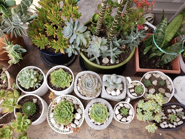 dbf9b63d71cfdb04ce11f825f2b1cfc7_1612161553_6261.jpeg dbf9b63d71cfdb04ce11f825f2b1cfc7_1612161553_6261.jpeg