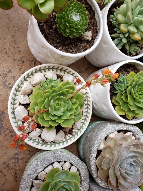 dbf9b63d71cfdb04ce11f825f2b1cfc7_1612161554_6661.jpeg dbf9b63d71cfdb04ce11f825f2b1cfc7_1612161554_6661.jpeg