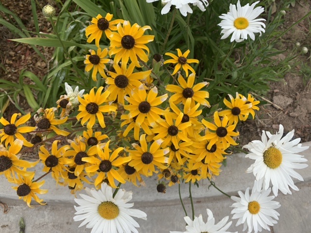 dbf9b63d71cfdb04ce11f825f2b1cfc7_1612161555_5552.jpeg dbf9b63d71cfdb04ce11f825f2b1cfc7_1612161555_5552.jpeg