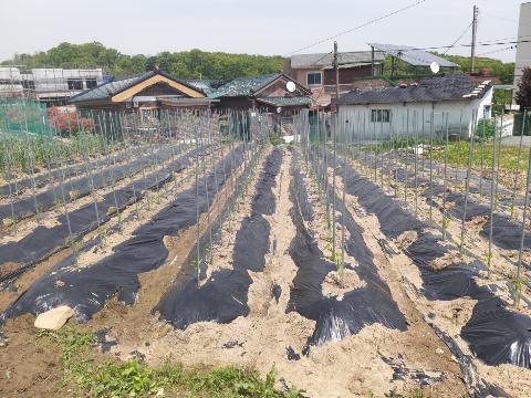 122db4d936bebd1af4a8281ced9198e6_1620341093_0939.jpg 122db4d936bebd1af4a8281ced9198e6_1620341093_0939.jpg