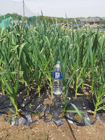 122db4d936bebd1af4a8281ced9198e6_1620341490_9255.jpg 122db4d936bebd1af4a8281ced9198e6_1620341490_9255.jpg