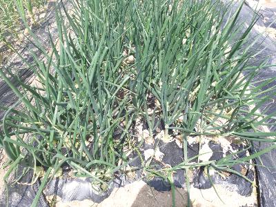 122db4d936bebd1af4a8281ced9198e6_1620341763_8437.jpg 122db4d936bebd1af4a8281ced9198e6_1620341763_8437.jpg