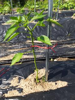 33aecac21490b678e244cdaeabf13cd4_1621390280_651.jpg 33aecac21490b678e244cdaeabf13cd4_1621390280_651.jpg