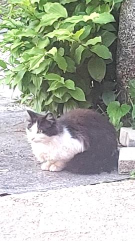 445709d6e6fbd7ab0911e348d212ab6e_1620687726_5965.jpg 445709d6e6fbd7ab0911e348d212ab6e_1620687726_5965.jpg