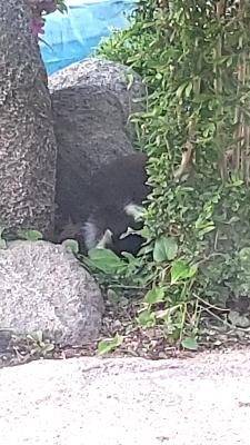 445709d6e6fbd7ab0911e348d212ab6e_1620687772_618.jpg 445709d6e6fbd7ab0911e348d212ab6e_1620687772_618.jpg