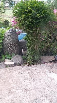 445709d6e6fbd7ab0911e348d212ab6e_1620687899_808.jpg 445709d6e6fbd7ab0911e348d212ab6e_1620687899_808.jpg