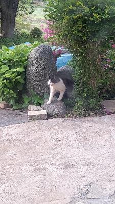 445709d6e6fbd7ab0911e348d212ab6e_1620688144_4901.jpg 445709d6e6fbd7ab0911e348d212ab6e_1620688144_4901.jpg