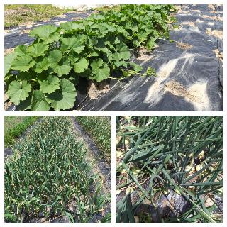 5eec7702e5baef826b8f2ca1e4dc06b6_1621947787_211.jpg 5eec7702e5baef826b8f2ca1e4dc06b6_1621947787_211.jpg