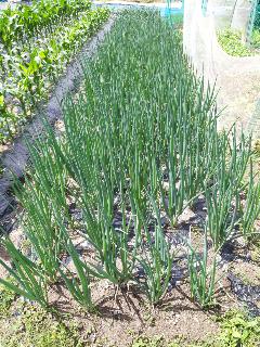 5eec7702e5baef826b8f2ca1e4dc06b6_1621948469_2986.jpg 5eec7702e5baef826b8f2ca1e4dc06b6_1621948469_2986.jpg