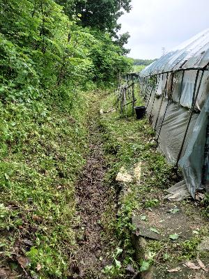 5eec7702e5baef826b8f2ca1e4dc06b6_1621948595_1866.jpg 5eec7702e5baef826b8f2ca1e4dc06b6_1621948595_1866.jpg