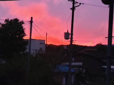 eb18f3d6869e2580b0317d4966c5593b_1620631956_2614.jpg eb18f3d6869e2580b0317d4966c5593b_1620631956_2614.jpg