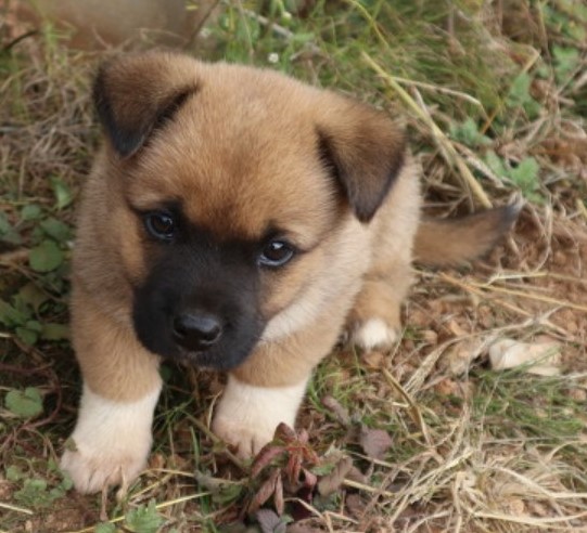 066ca9e5709ec70bb8d17c29734a3b2b_1624239985_8799.jpg 066ca9e5709ec70bb8d17c29734a3b2b_1624239985_8799.jpg