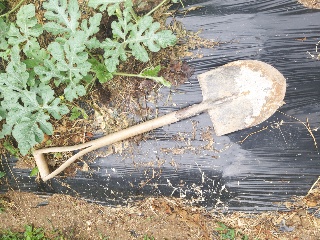 203a819401c517043462617b28efbe84_1623739022_7804.jpg 203a819401c517043462617b28efbe84_1623739022_7804.jpg