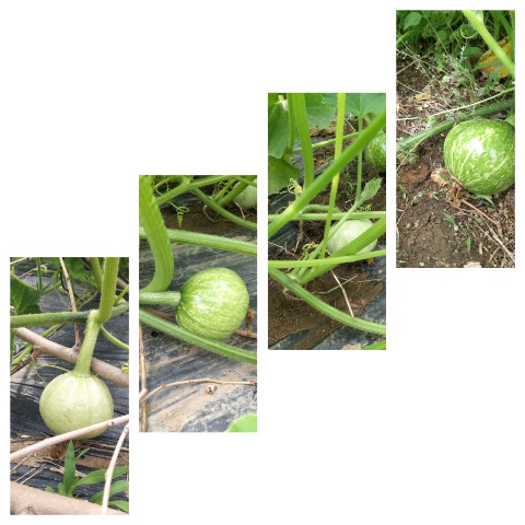 55c95408b9a8d6267d8c904fa739f2a2_1623413263_8189.jpg 55c95408b9a8d6267d8c904fa739f2a2_1623413263_8189.jpg