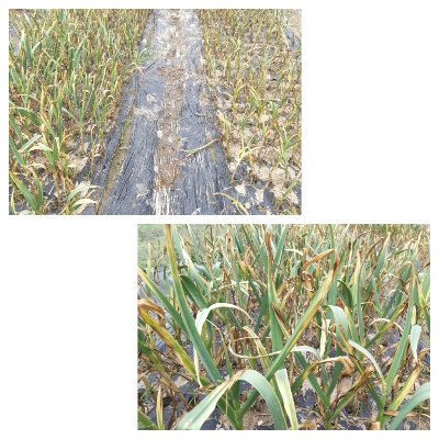 55c95408b9a8d6267d8c904fa739f2a2_1623413264_8293.jpg 55c95408b9a8d6267d8c904fa739f2a2_1623413264_8293.jpg