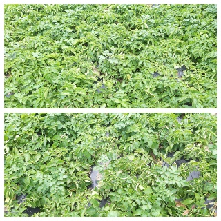 55c95408b9a8d6267d8c904fa739f2a2_1623413266_1568.jpg 55c95408b9a8d6267d8c904fa739f2a2_1623413266_1568.jpg